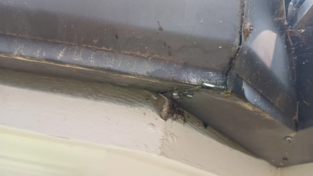 Inside-corner gutter miter seen from below, with debris caught at the seam above the trim, on an Alpharetta, GA home