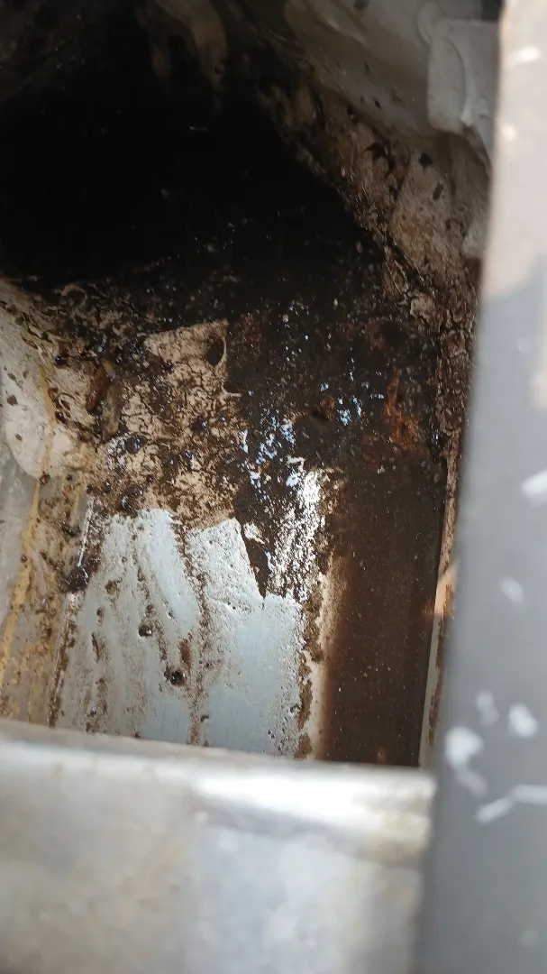 Wet leaf sludge and debris in the bottom of a gutter under its guards, before cleaning, in Alpharetta, GA