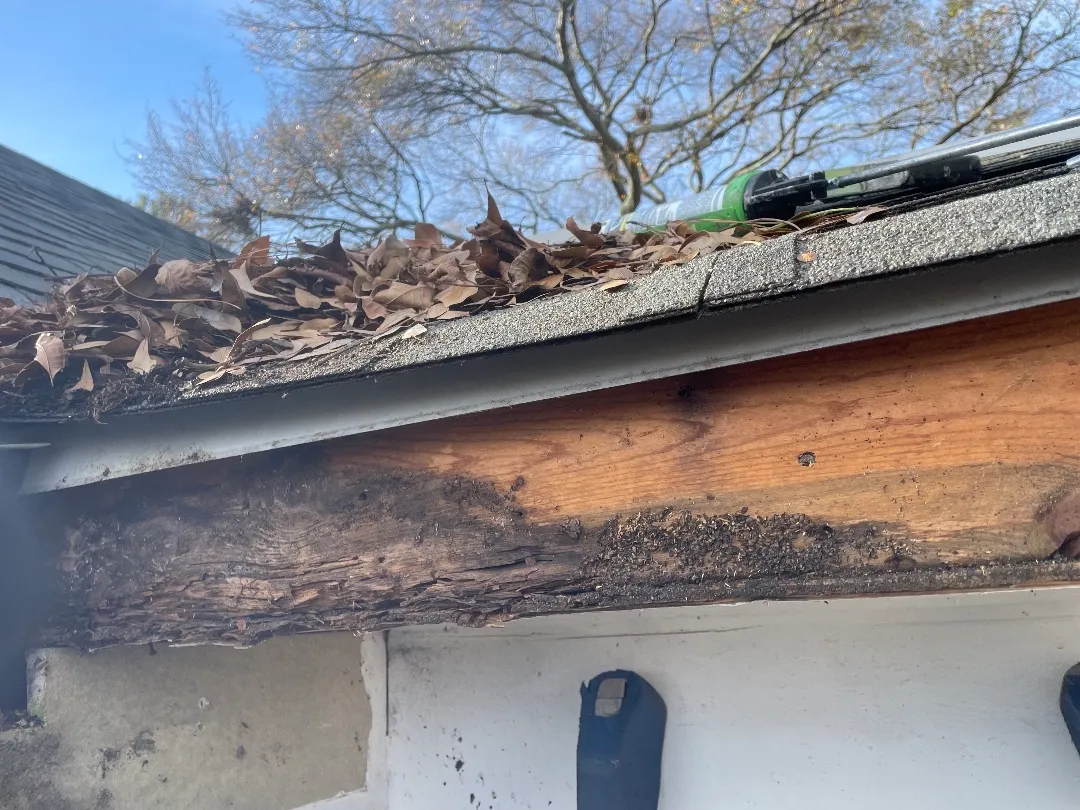 Before: fascia board with dark rot along its length and bare wood showing, under a leaf-covered shingle roof edge at an Atlanta, GA townhome