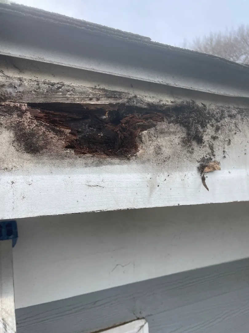 Hole rotted into a fascia board below a shingled roof edge at an Atlanta, GA townhome, with the gutter off