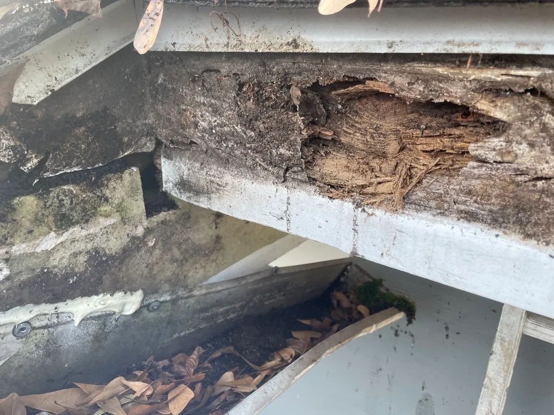 Fascia rotted through at a roof corner of an Atlanta, GA townhome, above the old gutter still full of leaves
