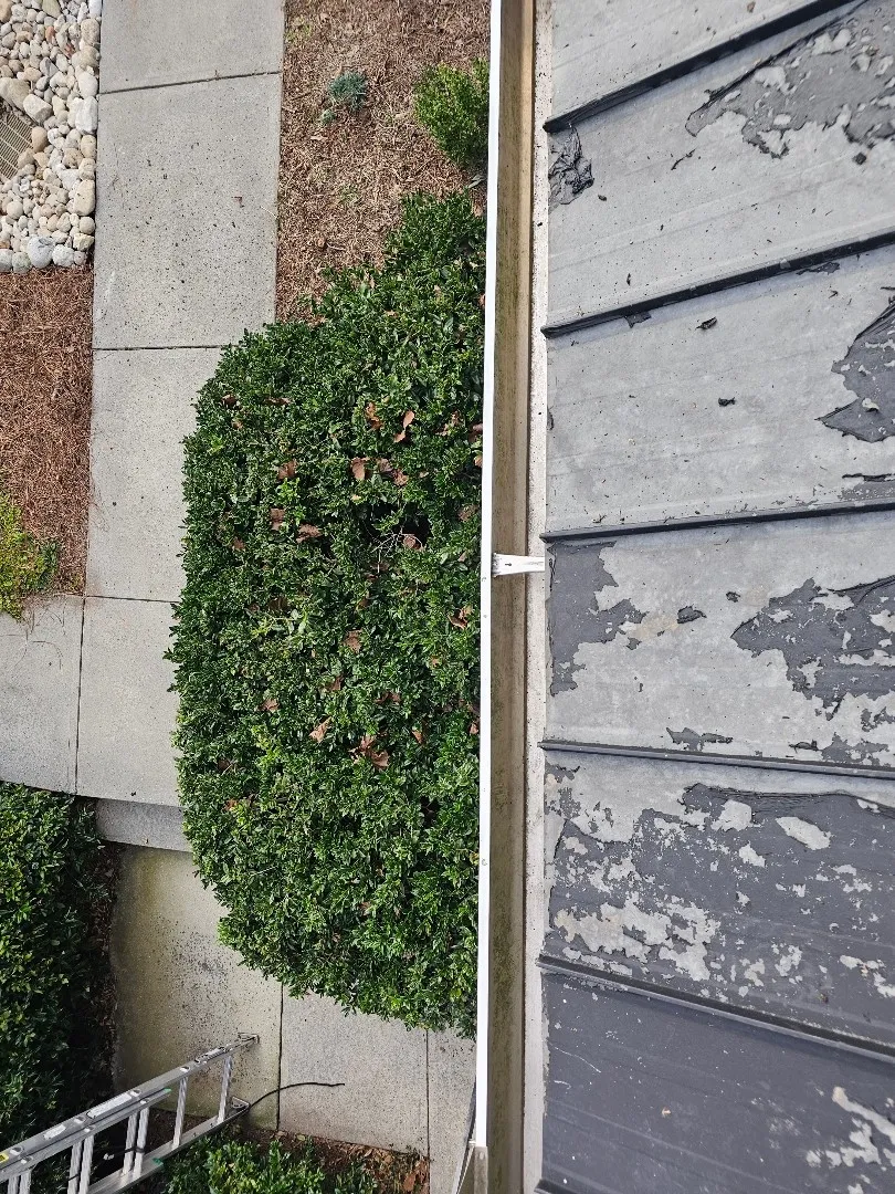Looking straight down at a white gutter beside a metal roof with peeling paint, with a hedge and sidewalk below, at an Atlanta, GA townhome