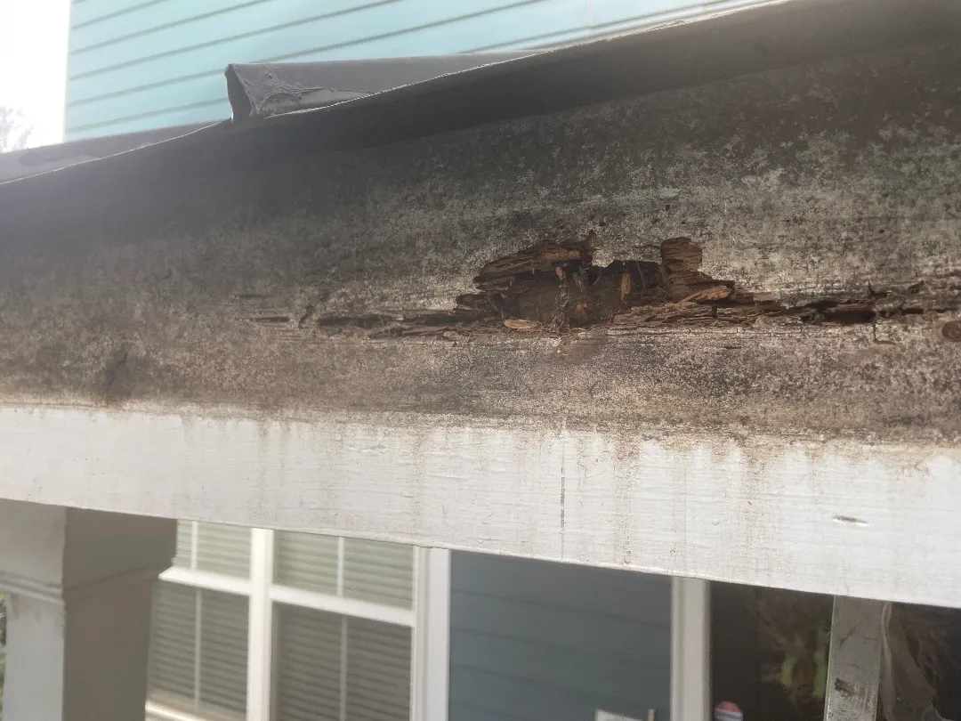 Rotted, split section of fascia along the edge of a metal porch roof at an Atlanta, GA townhome, with the gutter off