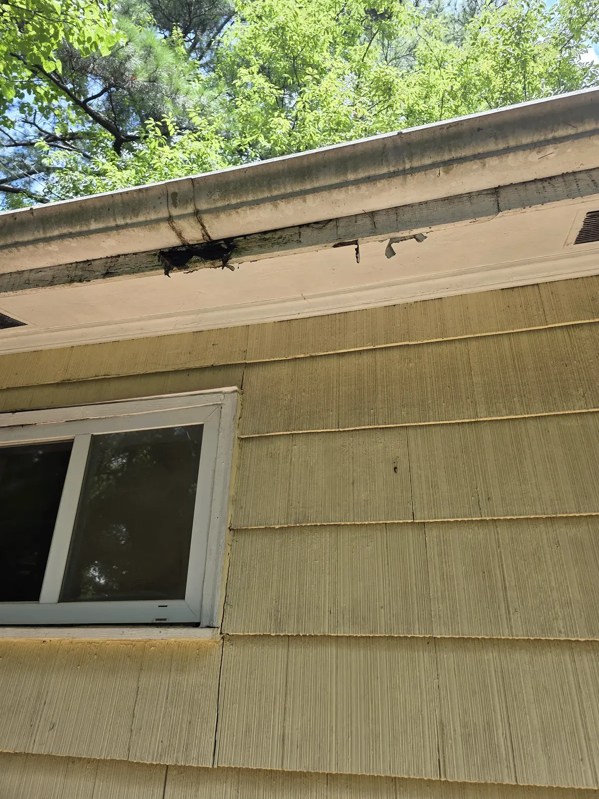 104 ft of Black 6-Inch Gutter and 36 ft of New Fascia – Collingwood Terrace — photo 2 of 4