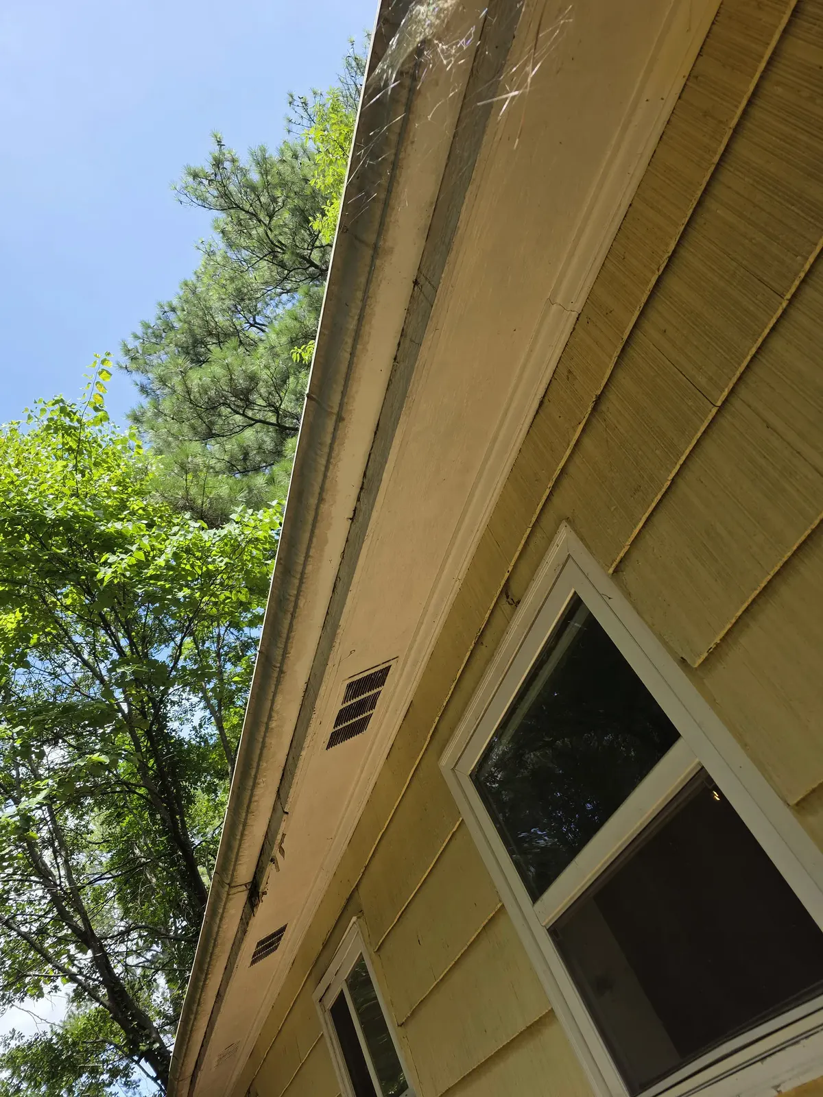 104 ft of Black 6-Inch Gutter and 36 ft of New Fascia – Collingwood Terrace — photo 1 of 4