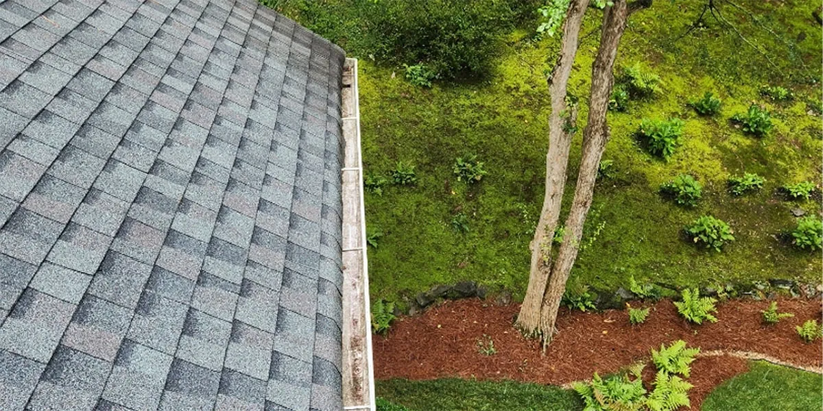 Clogged Gutter Cleaning – Lake Forrest Ln, Atlanta GA